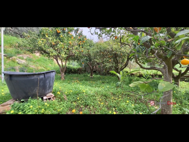 Appartamenti in Vendita - Rometta, funzionale terreno agricolo terrazzato
