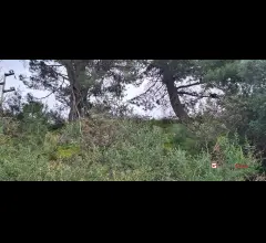 Appartamenti in Vendita - Rometta, funzionale terreno agricolo terrazzato