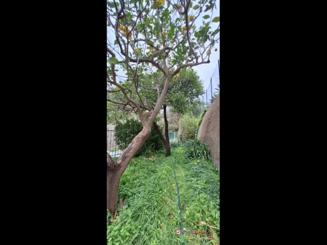 Appartamenti in Vendita - Piano torre, semi indipendente con spazi esterni