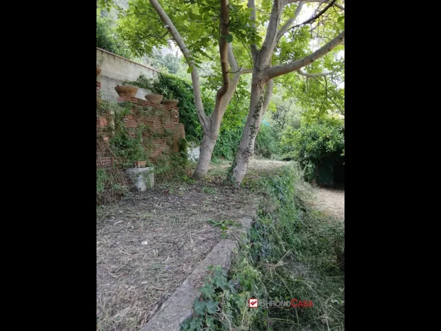 Appartamenti in Vendita - Rometta, terreno terrazzato di circa 2300 mq
