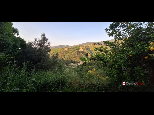 Appartamenti in Vendita - Rometta, terreno terrazzato di circa 2300 mq