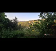 Appartamenti in Vendita - Rometta, terreno terrazzato di circa 2300 mq