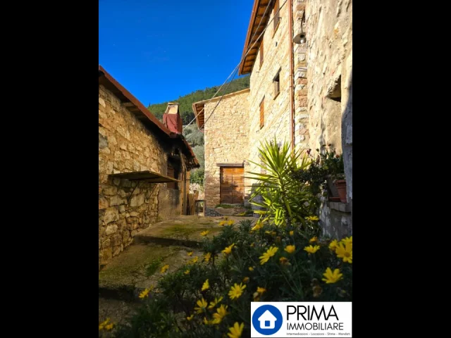 Appartamento ristrutturato con terreno, nella valle del serra