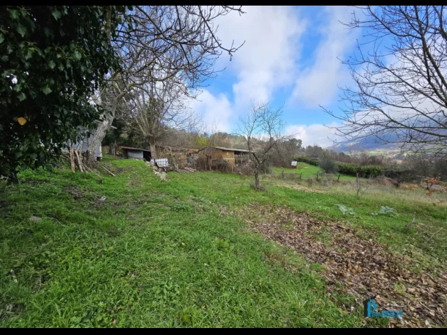 Appartamenti in Vendita - Cielo terra con terreno, zona confine di stroncone