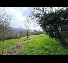 Appartamenti in Vendita - Cielo terra con terreno, zona confine di stroncone