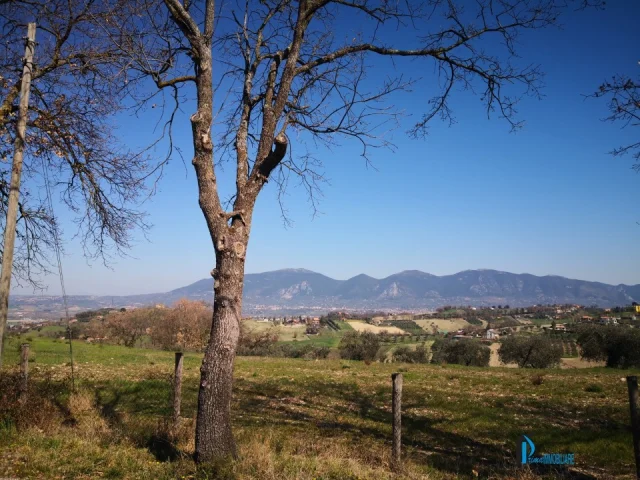 Terreno parzialmente edificabile in ottima posizione collinare