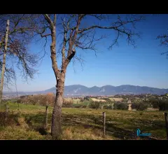 Terreno parzialmente edificabile in ottima posizione collinare