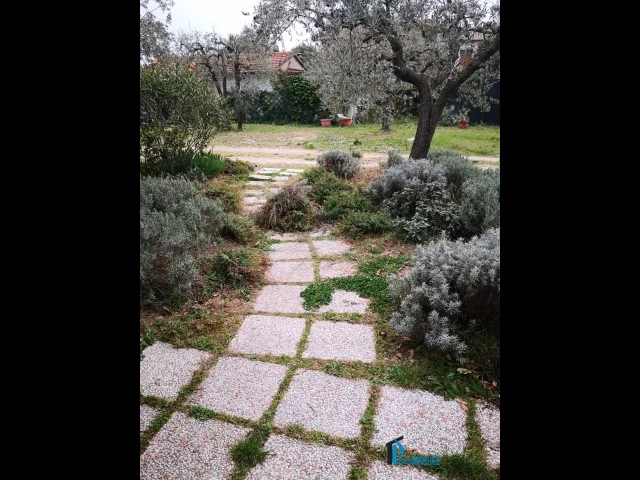 Appartamenti in Vendita - Terreno parzialmente edificabile in ottima posizione collinare