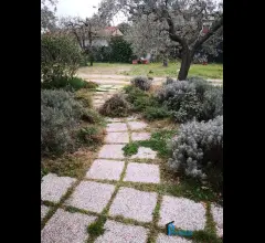 Appartamenti in Vendita - Terreno parzialmente edificabile in ottima posizione collinare