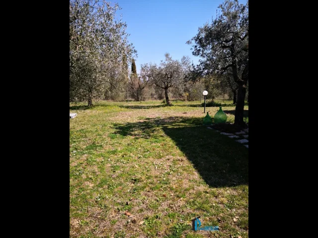 Appartamenti in Vendita - Terreno parzialmente edificabile in ottima posizione collinare