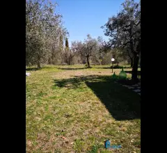 Appartamenti in Vendita - Terreno parzialmente edificabile in ottima posizione collinare