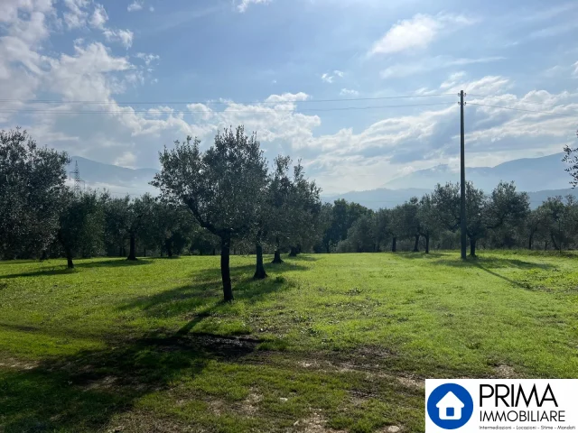 Appartamenti in Vendita - Terreno parzialmente edificabile in ottima posizione collinare