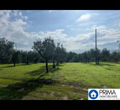 Appartamenti in Vendita - Terreno parzialmente edificabile in ottima posizione collinare