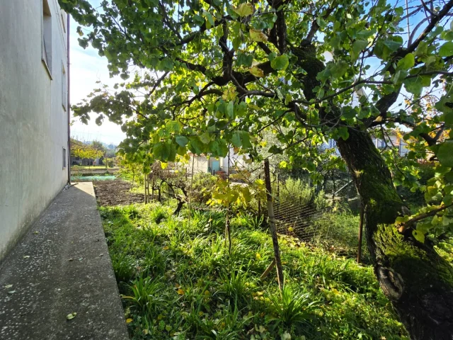 Appartamenti in Vendita - Appartamento con giardino privato e garage in bifamiliare, zona via narni