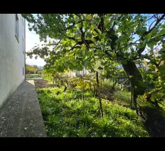Appartamenti in Vendita - Appartamento con giardino privato e garage in bifamiliare, zona via narni