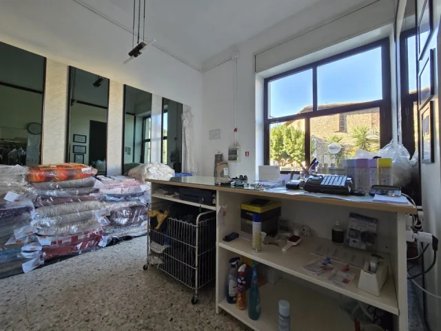 Vendesi attività di lavanderia ben avviata