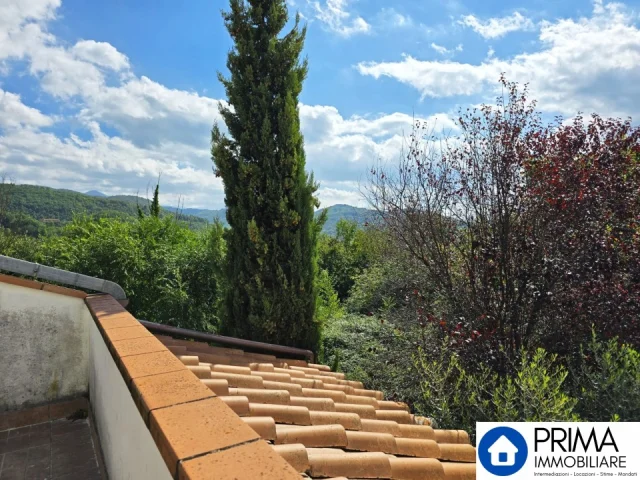 Appartamenti in Vendita - Appartamento con ingresso indipendente e terrazzo abitabile, zona piediluco