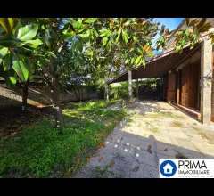 Appartamenti in Vendita - Zona ospedale: villa ristrutturata di pregio con giardino perimetrale e doppio accesso