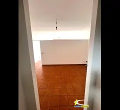 Appartamenti in Vendita - Ladispoli  appartamento in zona centrale