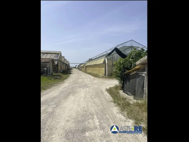 Appartamenti in Vendita - Azienda agricola - via migliara 46 n. 5