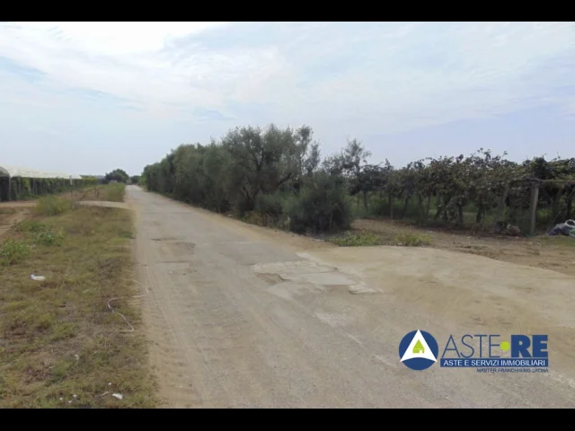 Terreno - strada della cooperativa snc