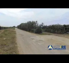 Terreno - strada della cooperativa snc