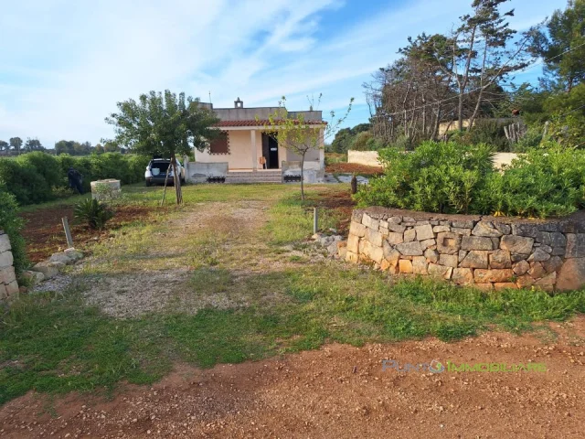 Villa con taverna e ampio terreno in località torre guaceto