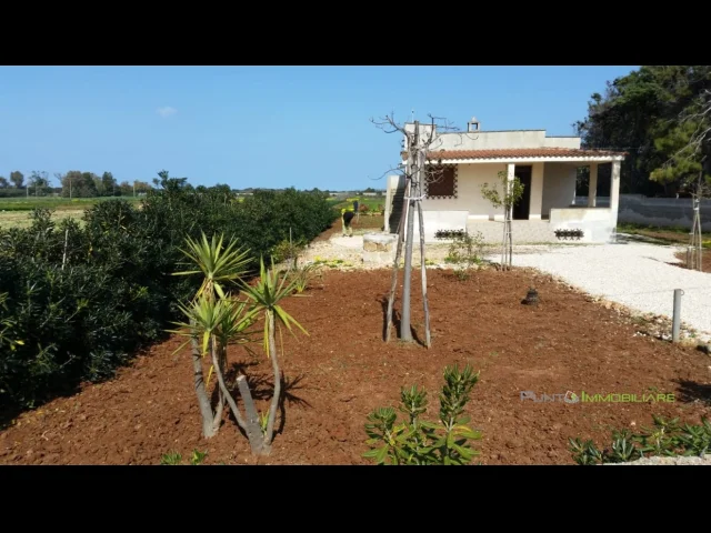 Appartamenti in Vendita - Villa con taverna e ampio terreno in località torre guaceto