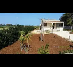 Appartamenti in Vendita - Villa con taverna e ampio terreno in località torre guaceto
