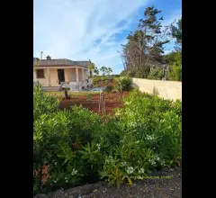 Appartamenti in Vendita - Villa con taverna e ampio terreno in località torre guaceto
