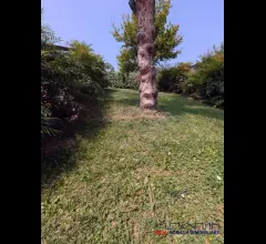 Appartamenti in Vendita - Torreglia / luvigliano - trifamiliare indipendente vista colli