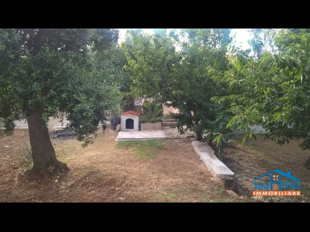 Appartamenti in Vendita - Soluzione rurale con terreno di proprieta