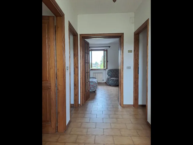 Appartamenti in Vendita - Piano di mommio casale con ampio terreno