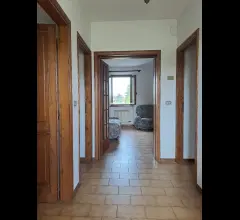 Appartamenti in Vendita - Piano di mommio casale con ampio terreno