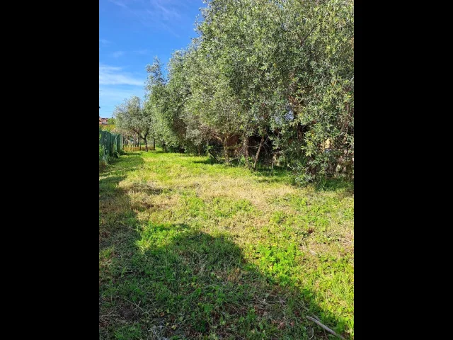 Massarosa centro grande casa indipendente con giardino