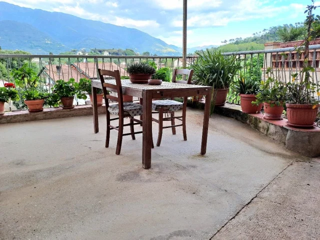 Camaiore casa singola con ampio terreno