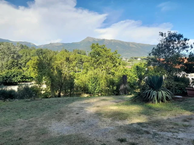 Appartamenti in Vendita - Camaiore casa singola con ampio terreno