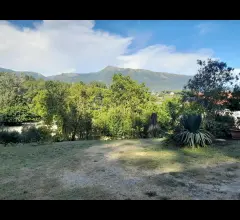 Appartamenti in Vendita - Camaiore casa singola con ampio terreno