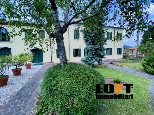 Appartamenti in Vendita - Casale - rustico con uliveto colli euganei