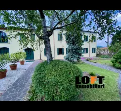 Appartamenti in Vendita - Casale - rustico con uliveto colli euganei
