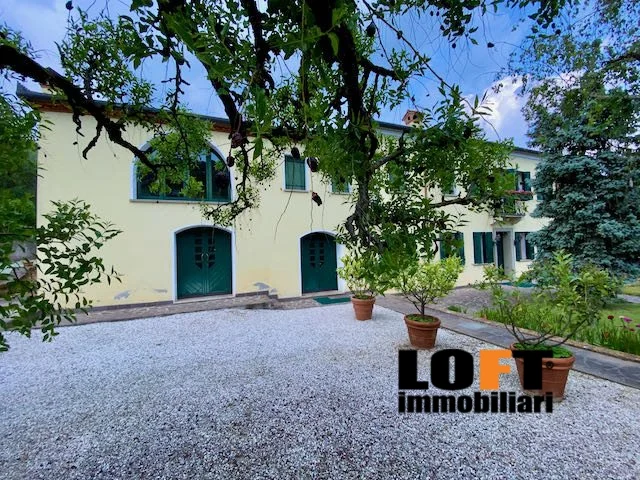 Appartamenti in Vendita - Casale - rustico con uliveto colli euganei