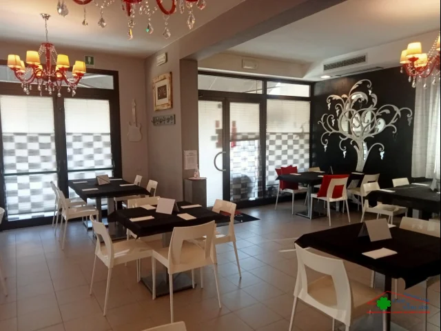 Avviatissima attività pizzeria e piccola ristorazione in ottima posizione