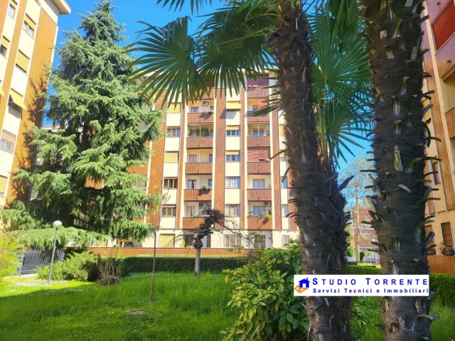 Appartamenti in Vendita - 2 locali nuovo