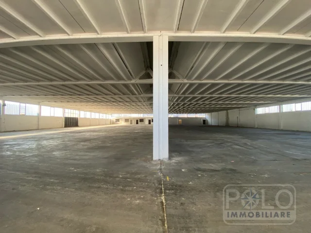 Appartamenti in Vendita - Capannone con palazzina uffici e area esterne per 9500 mq