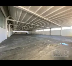 Appartamenti in Vendita - Capannone con palazzina uffici e area esterne per 9500 mq