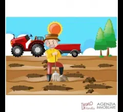 Stiava: bellissimo terreno in ottima posizione assolata