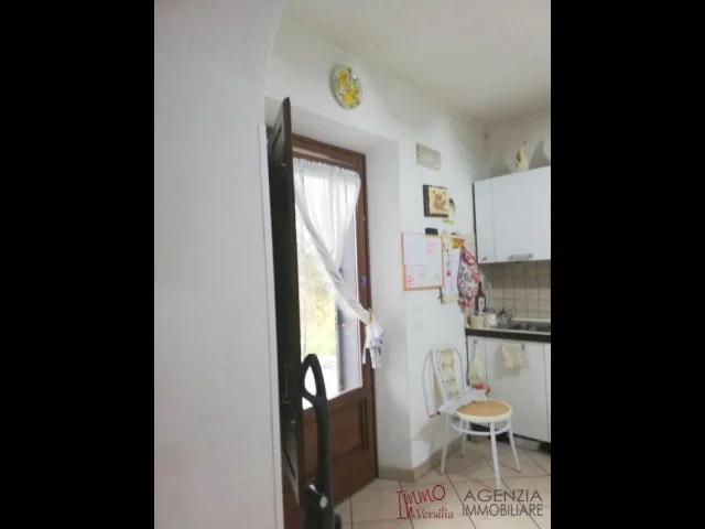 Appartamenti in Vendita - Montigiano: appartamento indipendente, giardino - vista mare