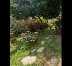 Appartamenti in Vendita - Villetta indipendente con giardino e posto auto