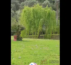 Appartamenti in Vendita - Piano di conca: villa singola con ampio terreno circostante