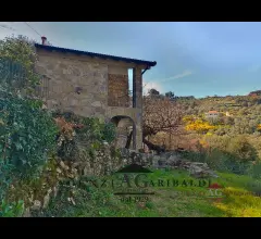 Rustico ristrutturato in stile e uliveto